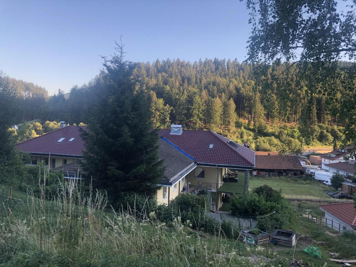 Ferienhaus Lacher Baiersbronn Esterno foto